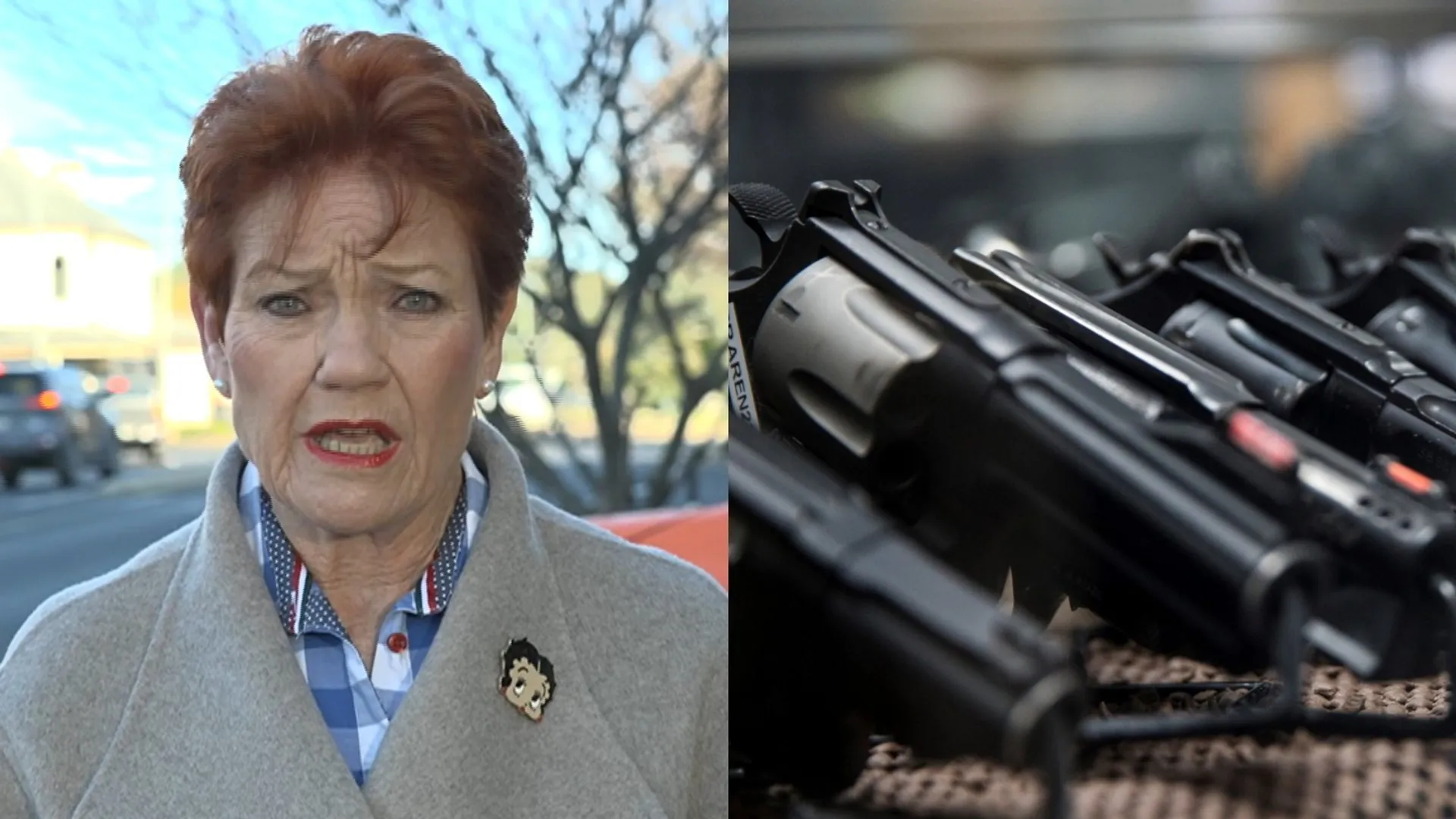 Hanson Slams NSW Gun Buyback as “Unfair” to Law-Abiding Owners