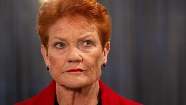 Pauline Hanson’s Syria Stunt Exposed “High & Extreme Risk” of Detention