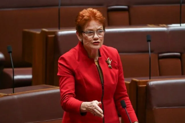 Hanson Slams NSW Gun Buyback as "Unfair" to Law-Abiding Owners - Second Image