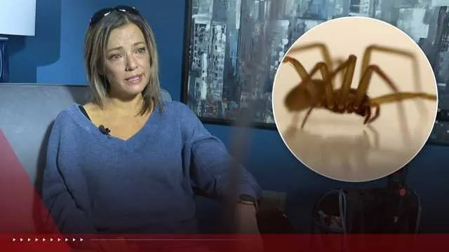  Mum-of-Four Fights for Life After Deadly Spider Bite Nightmare - Second Image