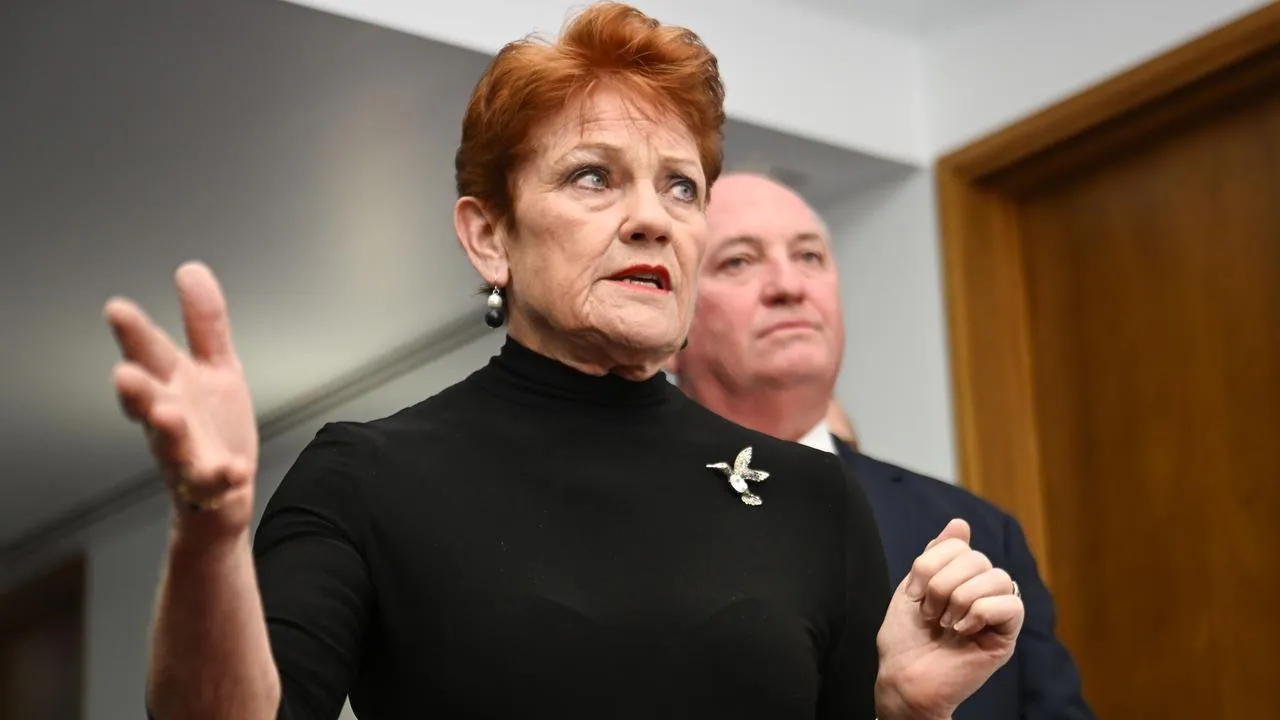  Pauline Hanson's Syria Stunt Exposed "High &amp; Extreme Risk" of Detention - Second Image
