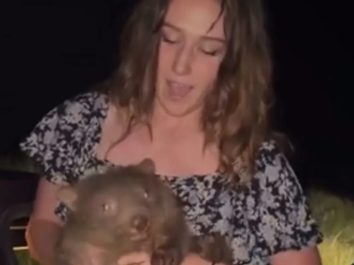 Wombat Handler Sentenced to 180 Days Behind Bars