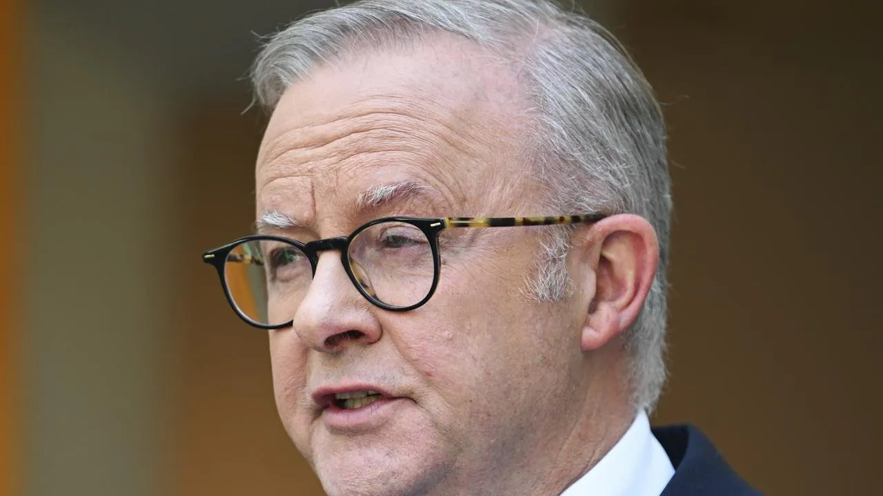 Albanese's Gun Buyback Deal Sparks Fury as One Nation Vows to Scrap It - Second Image