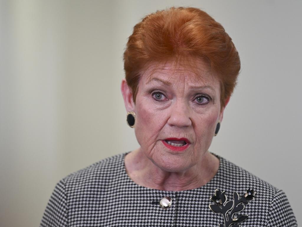 Hanson’s Shocking Gaffe Can’t Name Key Allies’ Leaders