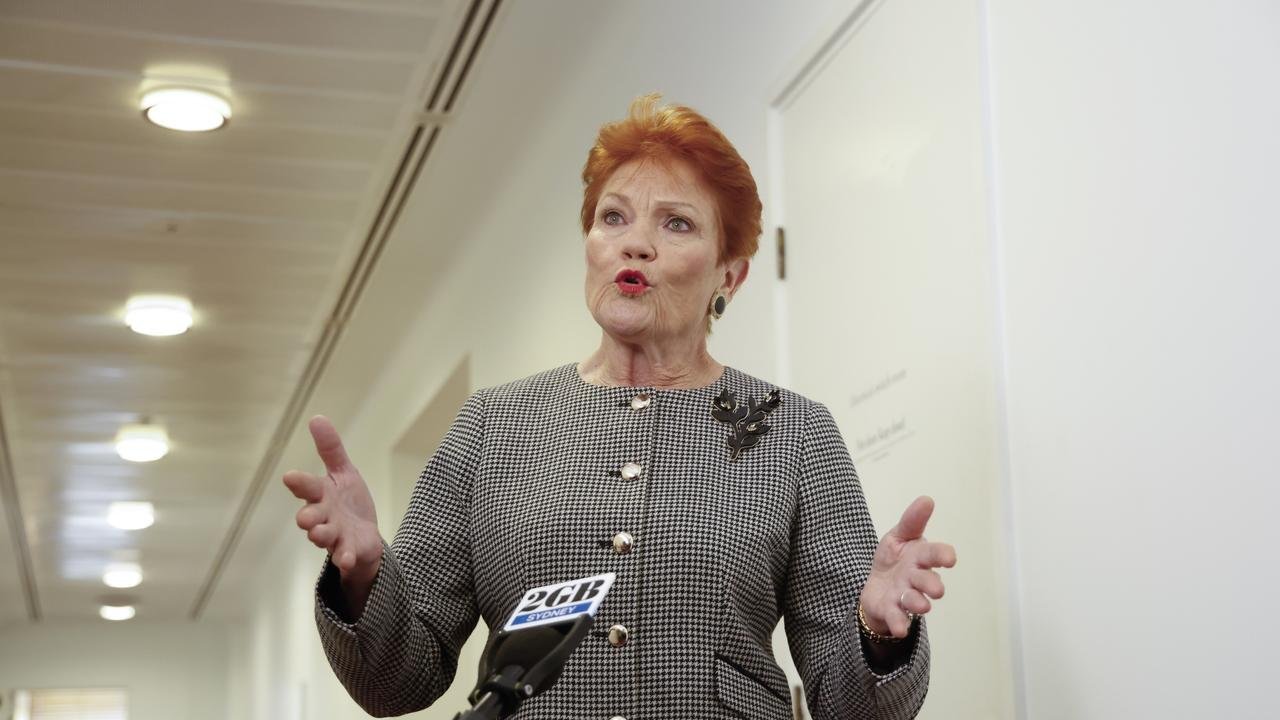 Hanson's Shocking Gaffe Can't Name Key Allies' Leaders - Second Image