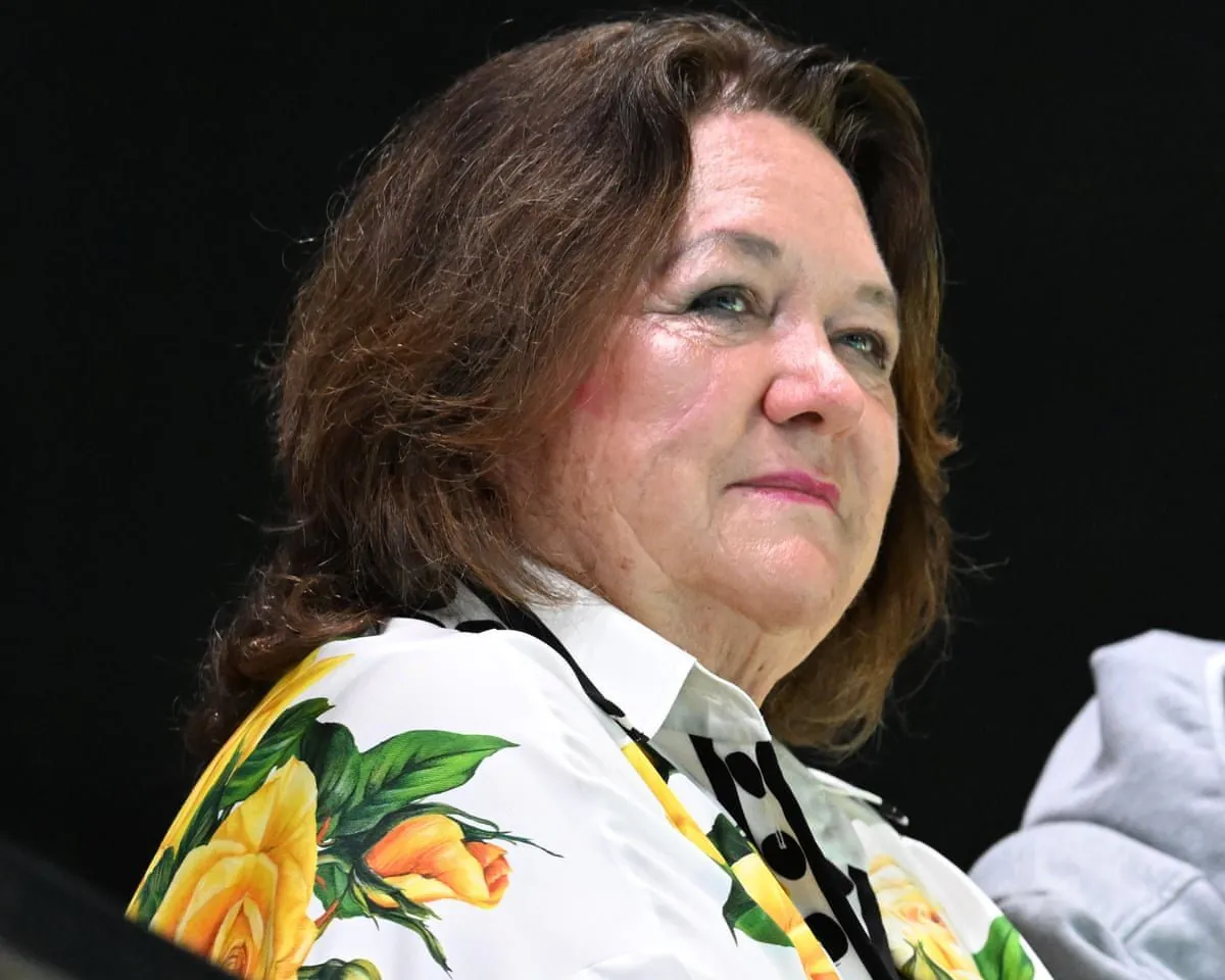  ABC Apologizes to Gina Rinehart Over Vile Sausage Roll Joke - Second Image