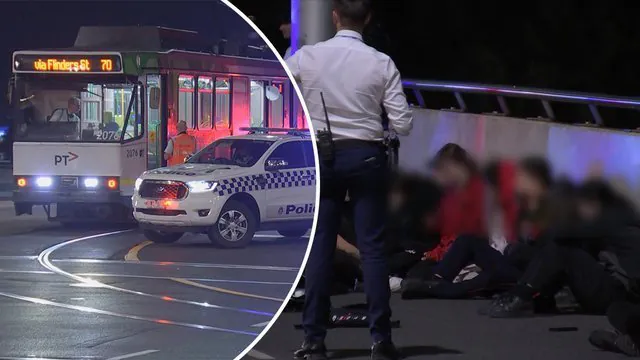 Teen Thugs Arrested in Melbourne Crime Spree