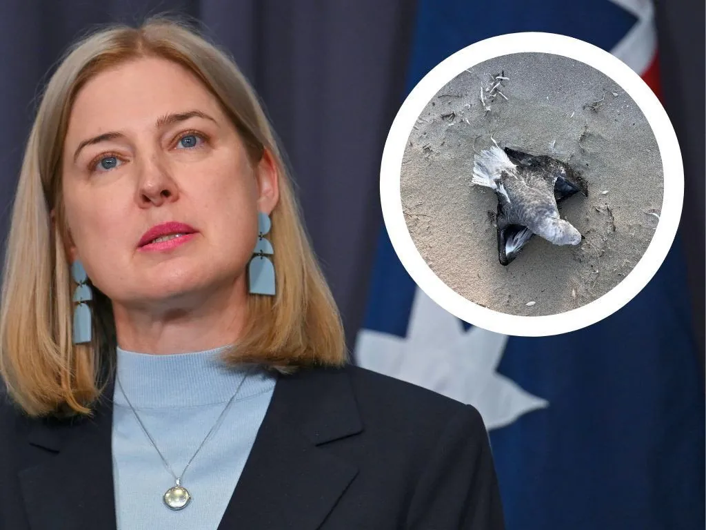 Deadly H5 Bird Flu Virus Grips Australia, 74 Cases Confirmed