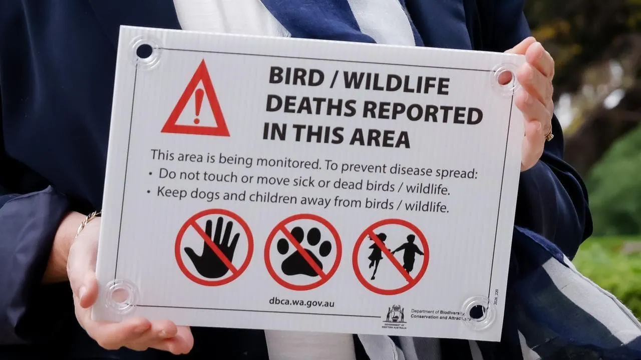 Deadly H5 Bird Flu Virus Grips Australia, 74 Cases Confirmed Nationwide - Second Image