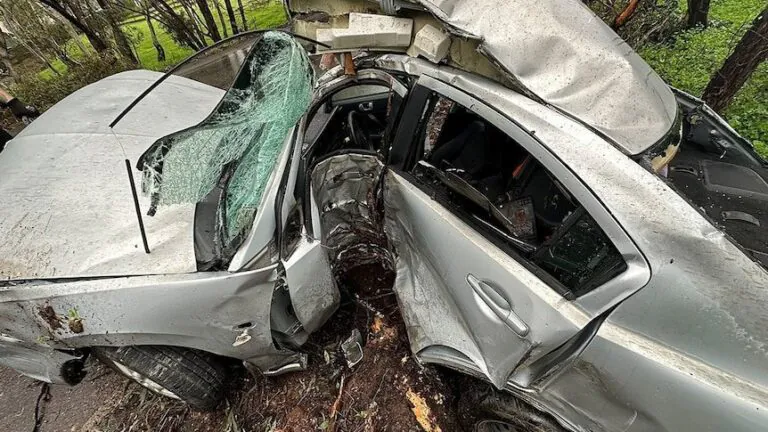 Driver Crashes Car into Tree and Survives
