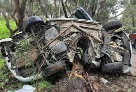 Miracle Escape for Driver as Car Crashes into Tree - Second Image