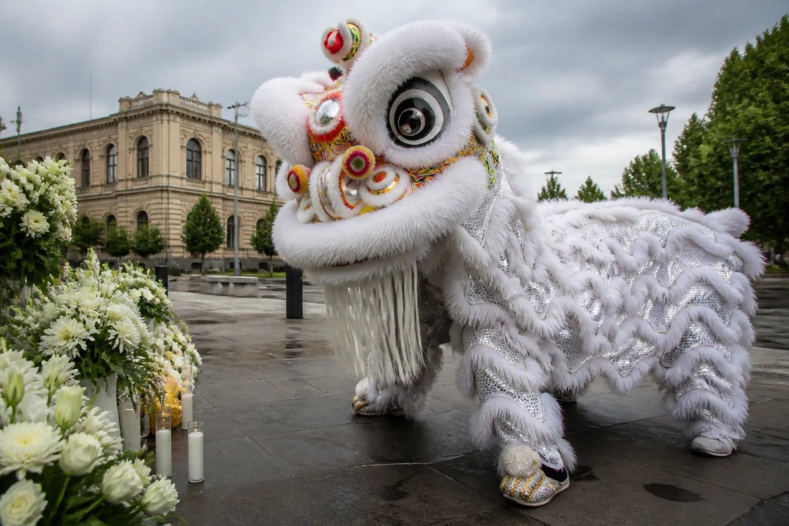 Ancient Lion Ceremony Roars Back to Life in Bendigo State Funeral