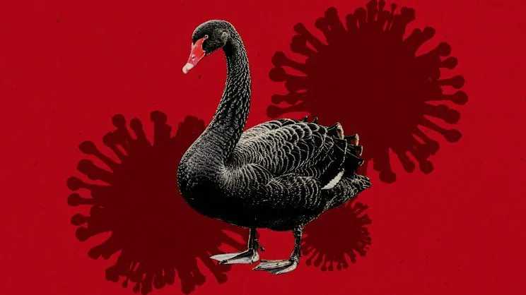 Australia Braces for Bird Flu Apocalypse 5 Species on Brink