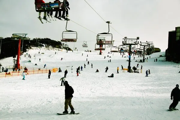 Man Killed, Woman Critical in Freak Tree Fall at Mount Buller