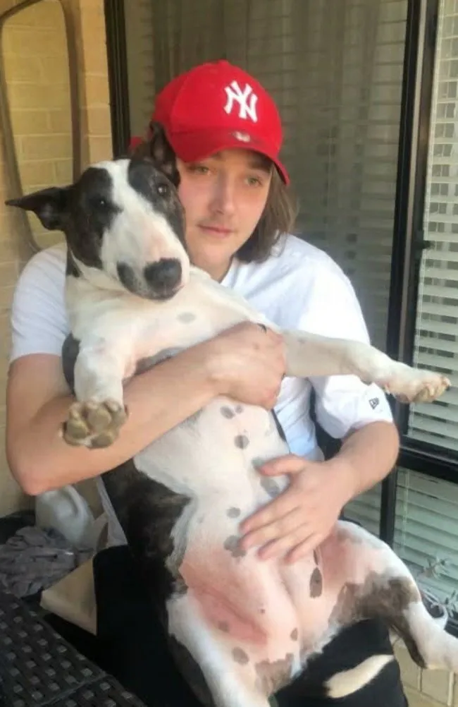 Teen Machete Killers Plead Not Guilty in Hero's Brutal Murder - Second Image