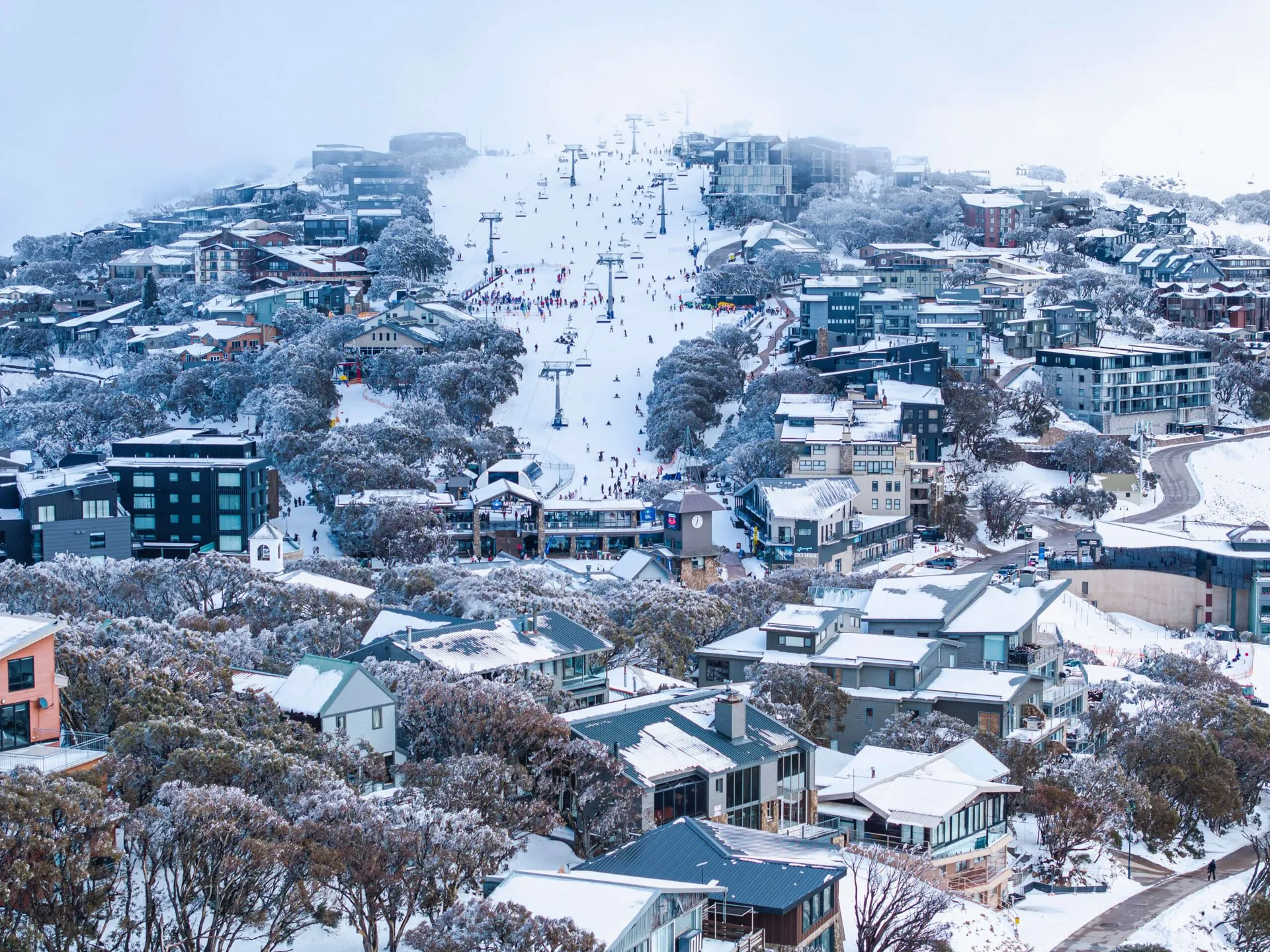 Man Killed, Woman Critical in Freak Tree Fall at Mount Buller - Second Image