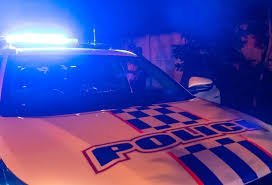 Teen Dies in Suspected Stolen Car Smash in NSW Hunter Region - Second Image