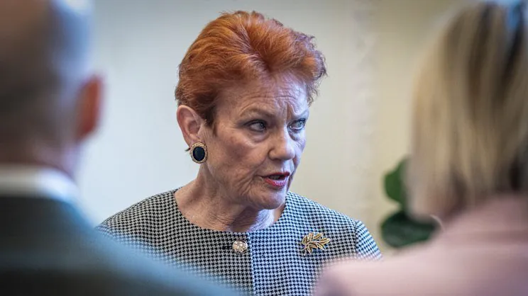 Hanson's One Nation in Migration Meltdown - Second Image