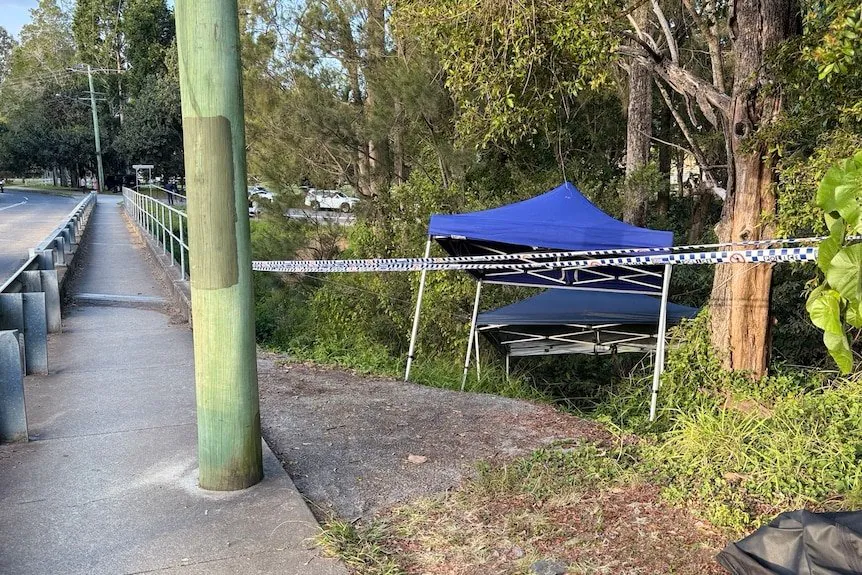 Brisbane Man Charged Over Brutal Daylight Rape of 23y Woman