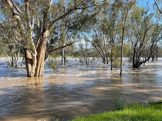 Floodwaters Trap Missing Man in Victoria's North - Second Image
