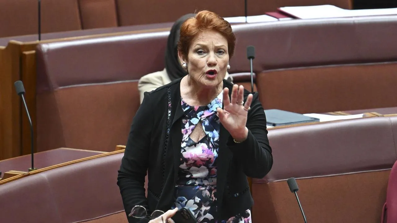 ONE NATION'S MIKE NEWMAN VOWS TO REVIVE NSW WITH COAL AND TAX CUTS - Second Image