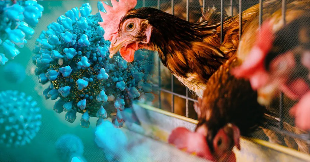 Bird Flu Horror Spreads Inland Rare Species Under Threat