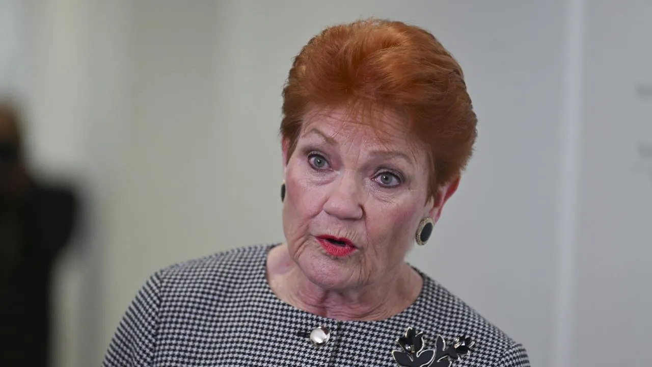 Hanson's Shock Pick for NSW Premier Pro-Coal Investment Banker - Second Image