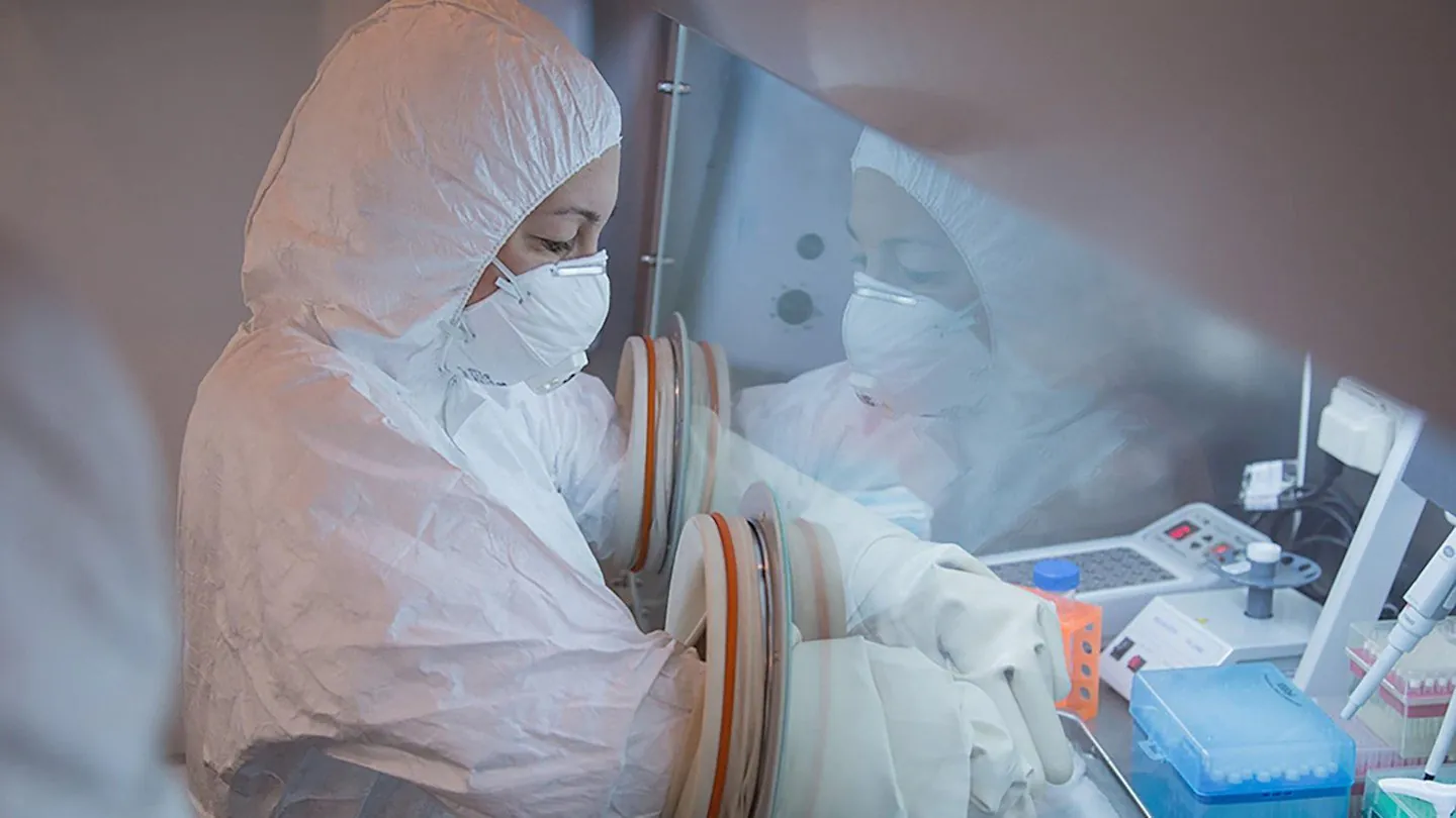 Mysterious Plague Outbreak Sparks Global Pandemic Fears - Second Image