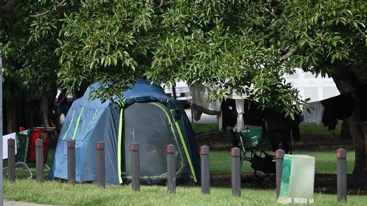 Brisbane Homeless Man Found Dead In Bushland Chaos - Second Image