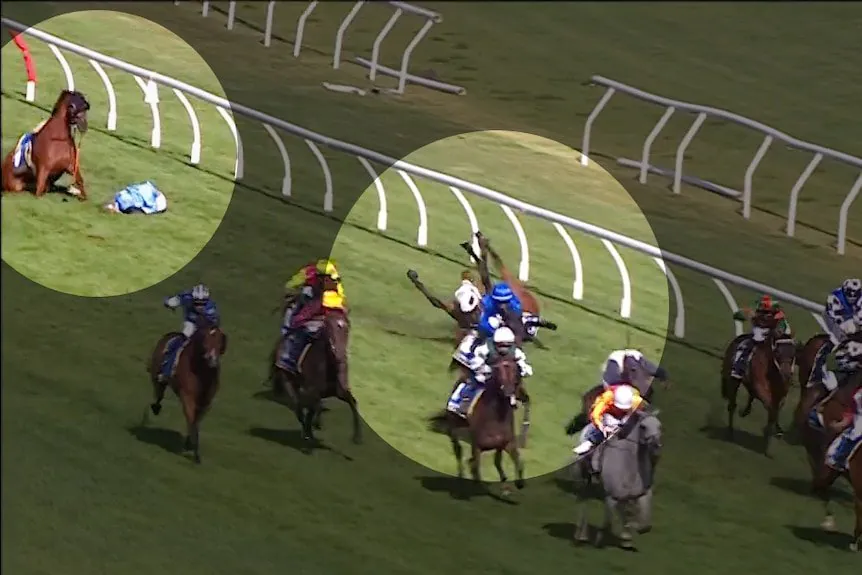 Horse Put Down After Horror Fall During Race in Australia