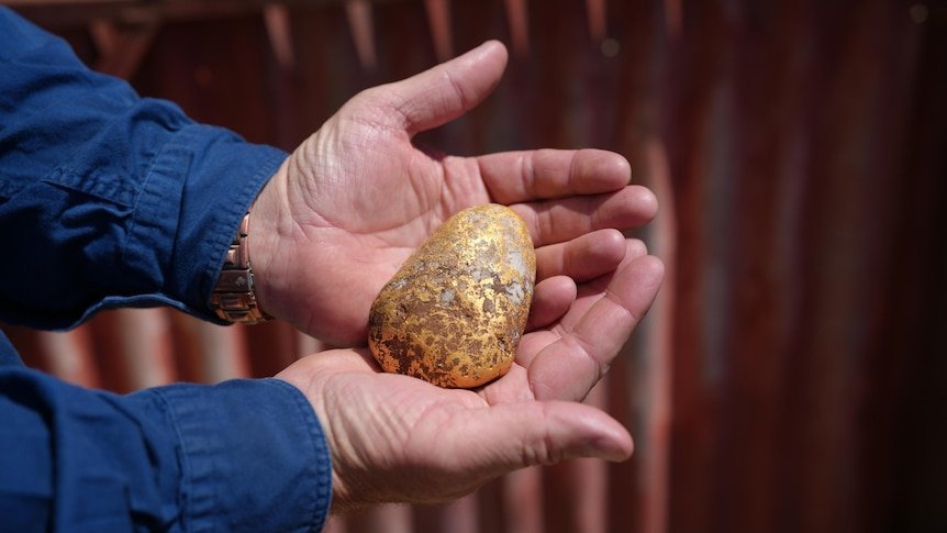 Mystery Prospector Digs Up $150,000 Gold While You Pay Rent - Second Image