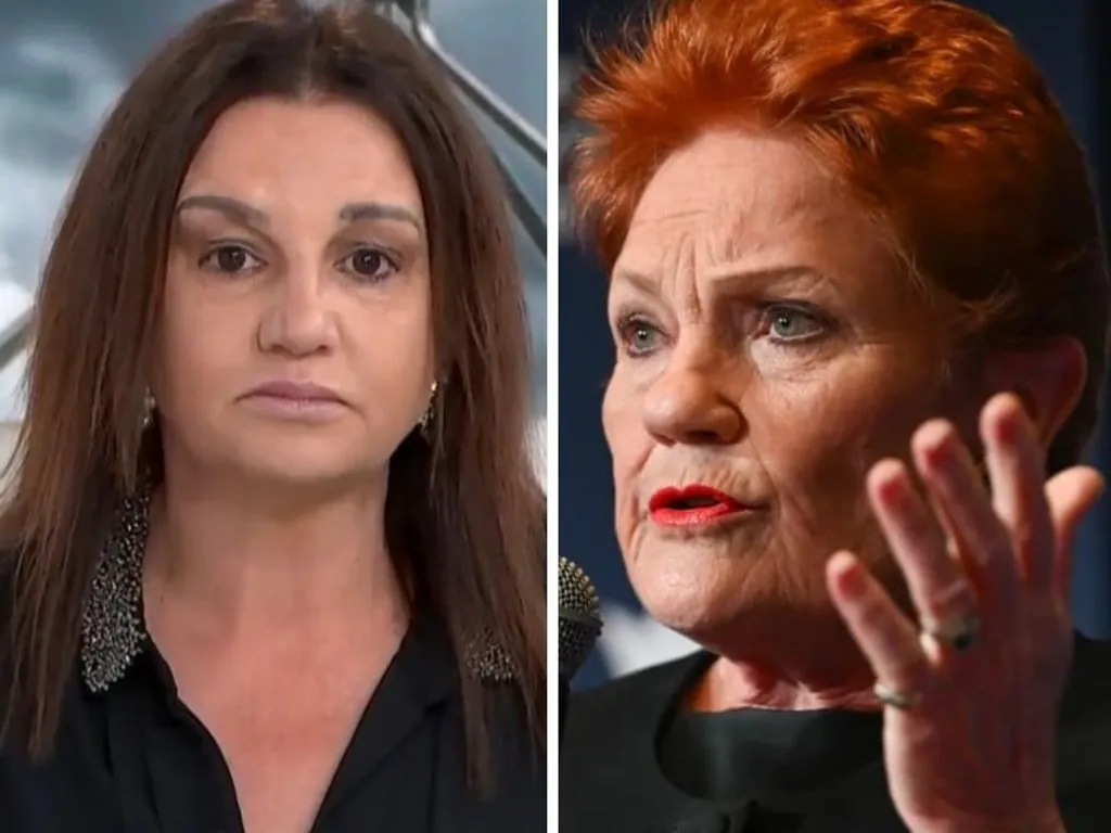 Politicians Slam One Nation's Brutal Cartoon Attack - Second Image
