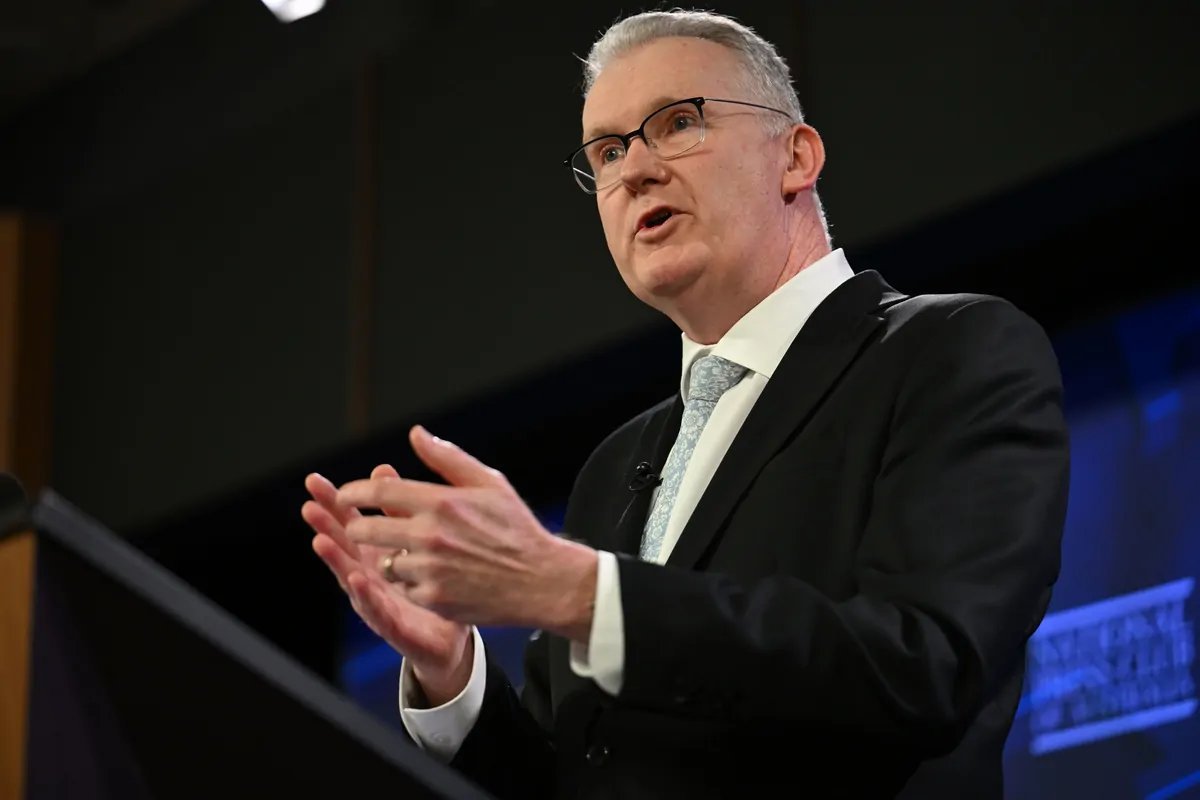 Minister Admits Student Visa Crackdown Is Scaring Off Applicants - Second Image