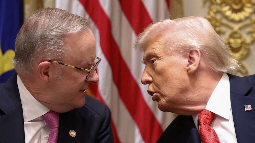 Albanese Backed Trump’s Quick War And Now Motorists Foot The Bill