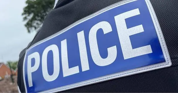 Brutal Stabbing At Sydney Shopping Centre Leaves Woman Fighting For Life - Second Image