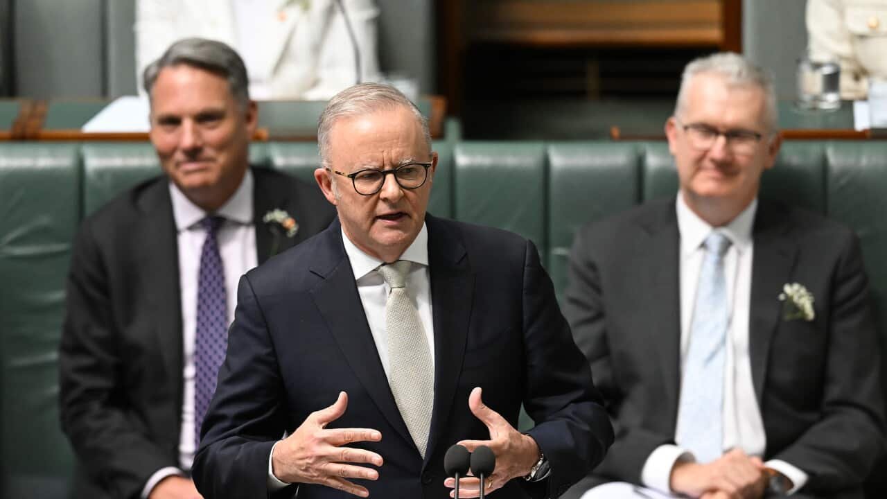 It Took An MP In Hospital For Canberra To Finally Care - Second Image