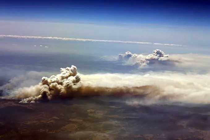 Fury As Fires Engulf Australia's Southeast Forests - Second Image