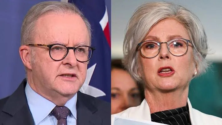 Albanese’s Dirty Politics Scandal Explodes After MP Attack
