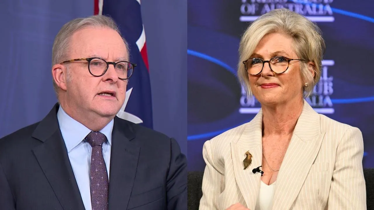 Albanese Office Embroiled In Dirty Politics Scandal Amid MP Attack Fury - Second Image