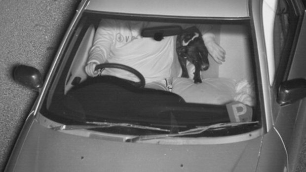 Sydney Drivers Slugged $50 Million In Seatbelt Fines For Passengers Mistakes - Second Image